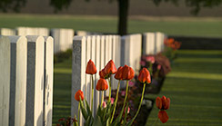 Headstone with tulips